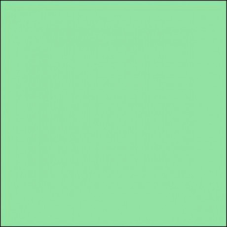 Lee Filters - Zelený 50 korekční 100x100 PE