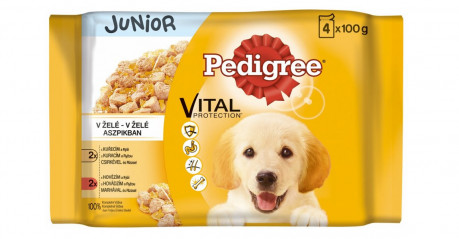 PEDIGREE kapsička Junior s kuřecím v želé 4pack 400g