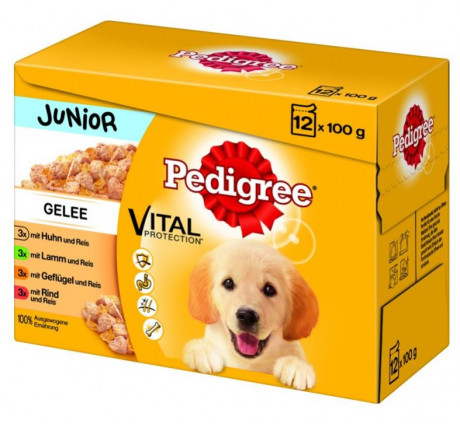 PEDIGREE kapsička Junior v želé 12pack 1200g