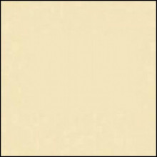Lee Filters - SW150 81A  