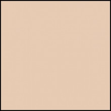 Lee Filters - Chocolate 1 standardní 100x100 2mm  
