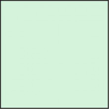 Lee Filters - Zelený 20 korekční 100x100 2mm  