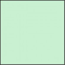 Lee Filters - Zelený 25 korekční 100x100 2mm  