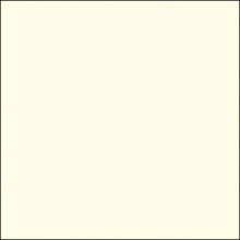 Lee Filters - Žlutý 10 korekční 100x100 PE  