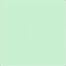 Lee Filters - Zelený 25 korekční 100x100 PE  