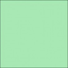 Lee Filters - Zelený 40 korekční 100x100 PE  