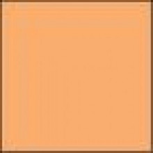Lee Filters - Coral 12 standardní 100x100 2mm  