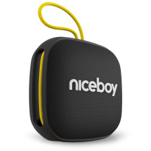 Repro Niceboy RAZE Mini 4 