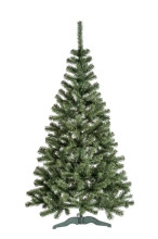Vánoční stromek Jedle Lea 160 cm 