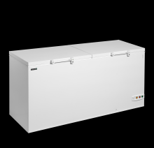 TEFCOLD FR606 SL Mraznička na zmrzlinu plné víko, nerez 